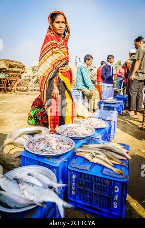 Chittagong, Bangladesh, 23 dicembre 2017: La donna sta vendendo pesce dalla cattura del mattino al mercato del pesce a Chittagong Foto Stock
