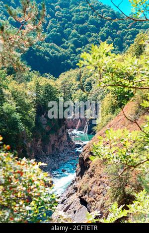 Bella vista da dietro i cespugli sul fiume, la foresta e le rocce. Verticale. Foto Stock