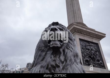 Una sola scultura in testa di leone in bronzo vista alla base della colonna di Nelson contro il cielo grigio di Trafalgar Square London. Foto Stock