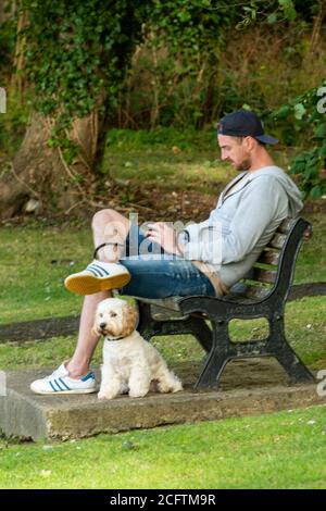 un grande uomo dall'aspetto duro con un piccolo cane carino seduto su una panchina che guarda il suo telefono o dispositivo mobile. cani coccolosi. Foto Stock