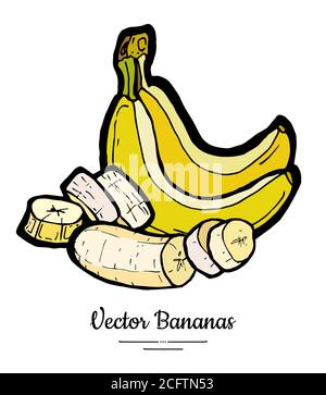Banana insieme vettore isolato. Mazzo di fette di banana tagliate sbucciate intere raccolta di frutti dolci gialli vegetariani disegnati a mano Illustrazione Vettoriale