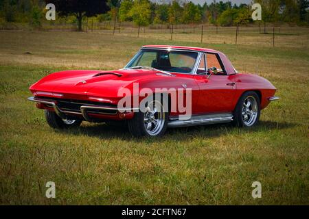 1965 Chevrolet Corvette Foto Stock