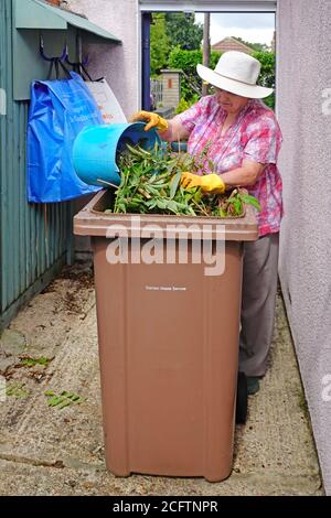 Anziano anziano anziano anziano anziano donna che svuota le talee verdi della pianta di giardinaggio rifiuti in sacchi di riciclaggio domestici a carriola pagati per il riciclaggio Oltre il Regno Unito Foto Stock