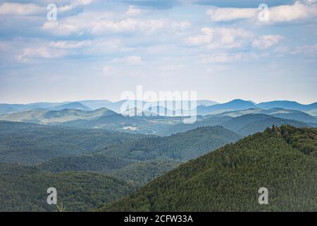 splendido paesaggio delle colline boscose di pfälzer wald, rheinland-pfalz, germania Foto Stock