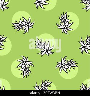Cactus fiore senza cuciture motivo vettoriale. Immagine del cactus succulente verde disegnata a mano dal vettore. Carta da parati senza cuciture. Illustrazione Vettoriale