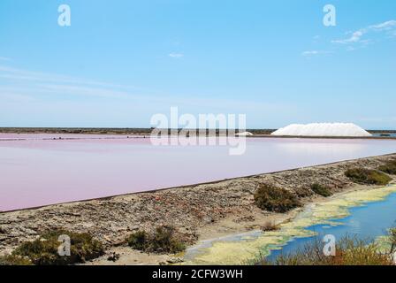 Le acque rosa che producono sale di Gruissan, francia Foto Stock