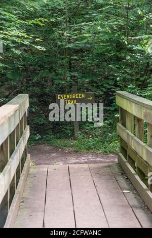 Cartello Evergreen Trail al Ricketts Glen state Park, Pennsylvania, USA Foto Stock