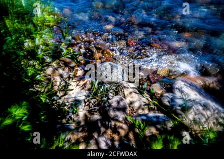 spruzzi artistici di acqua centrati su una roccia al Bordo del lago Tahoe Foto Stock