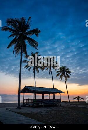 Ocean all'alba con le silhouette di palme con uno sfondo del bagliore dorato dell'alba Foto Stock