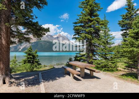 Un tavolo da picnic sotto gli alberi in spiaggia con una splendida vista sul lago Bow, Alberta, Canada Foto Stock