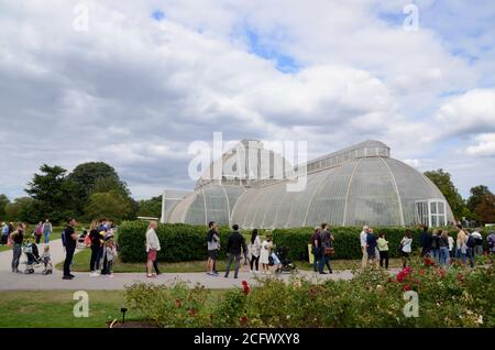 lunga coda per la casa di palme nei giardini botanici reali kew london richmond Regno Unito Foto Stock