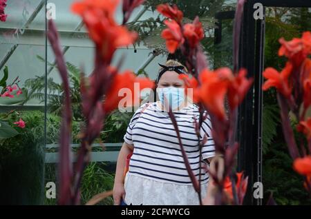 fiori di canna e persone in maschere nei giardini botanici reali kew london richmond Regno Unito Foto Stock