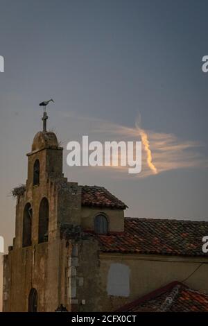 Cicogna sulla cima del campanile della chiesa.- Foto Stock