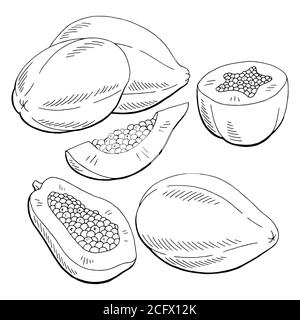 Papaya frutta grafica nero bianco isolato disegno vettore Illustrazione Vettoriale