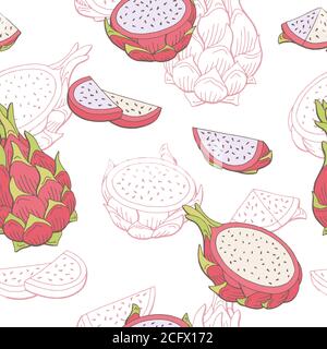 Pitaya dragon frutta colore grafico motivo senza giunture disegno vettore illustrazione schizzo Illustrazione Vettoriale