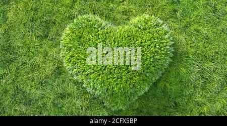 erba verde in forma di cuore concetto di ambiente e sostenibilità Foto Stock