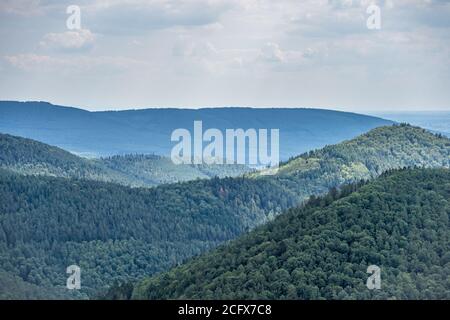 splendido paesaggio delle colline boscose di pfälzer wald, rheinland-pfalz, germania Foto Stock