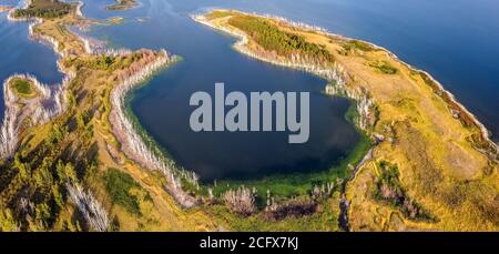 Bellissimo panorama ad alto angolo drone aereo scatto di una baia su uno dei laghi Gorkoje in Altai Krai, Siberia, Russia. Paesaggio incredibile. Foto Stock