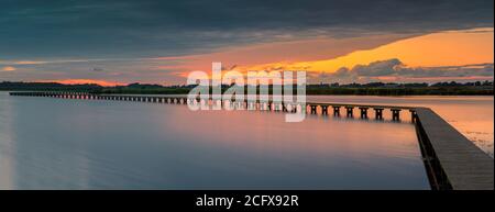 Area natura 't Roegwold, vicino Schildwolde nella provincia di Groningen, Paesi Bassi Foto Stock