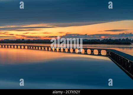 Area natura 't Roegwold, vicino Schildwolde nella provincia di Groningen, Paesi Bassi Foto Stock