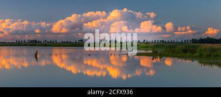 Area natura 't Roegwold, vicino Schildwolde nella provincia di Groningen, Paesi Bassi Foto Stock