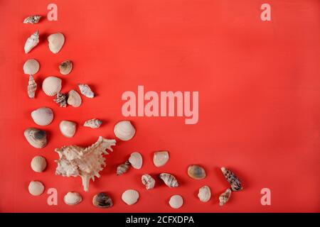 Una grande conchiglia e piccole conchiglie sono splendidamente sparse su uno sfondo rosso. Copia spaes Foto Stock