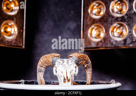 Cranio RAM su una superficie nera lucida. Un pannello con lampade brilla sul cranio Foto Stock