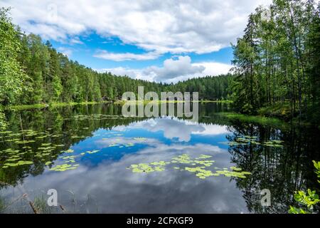 Scena a sentieri escursionistici nel parco nazionale di Nuuksio, Espoo, Finlandia. Foto Stock