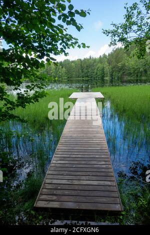 Scena a sentieri escursionistici nel parco nazionale di Nuuksio, Espoo, Finlandia. Foto Stock