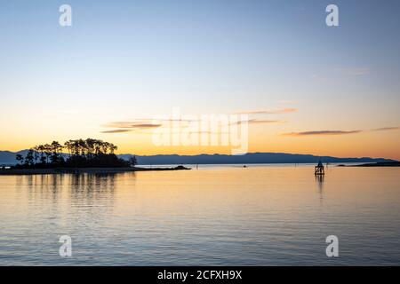 Alberi sull'isola di Haulashore a Tasman Bay, Nelson, Isola del Sud, Nuova Zelanda Foto Stock