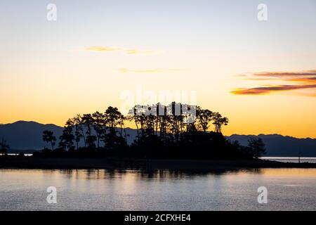 Alberi sull'isola di Haulashore a Tasman Bay, Nelson, Isola del Sud, Nuova Zelanda Foto Stock