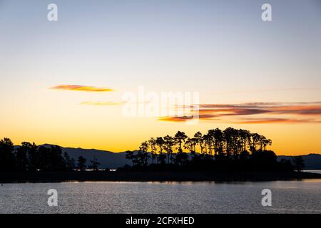 Alberi sull'isola di Haulashore a Tasman Bay, Nelson, Isola del Sud, Nuova Zelanda Foto Stock