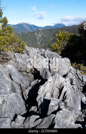 Formazioni rocciose calcaree, Hawkes Lookout, Takaka Hill, vicino a Motueka, Nelson, South Island, Nuova Zelanda Foto Stock