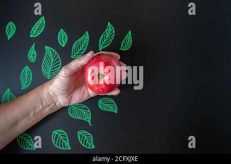 Mano che tiene la mela rossa sulla lavagna con foglie verdi disegnate. Apple in mano su sfondo nero con immagine di foglie. Buon giorno dell'insegnante. Salute An Foto Stock