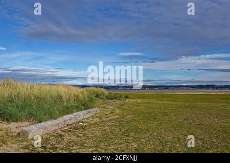 Un pezzo grande di legno notevole Driftwood contro le dune Di una la spiaggia delicatamente scaffalando a Tentsmuir Point a. Bassa marea nell'estuario del Tay Foto Stock