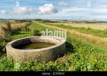 Campagna paesaggio rurale nel nord Wessex Downs AONB vicino Wexcombe, Wiltshire, Regno Unito, con un insolito canale d'acqua circolare in primo piano Foto Stock