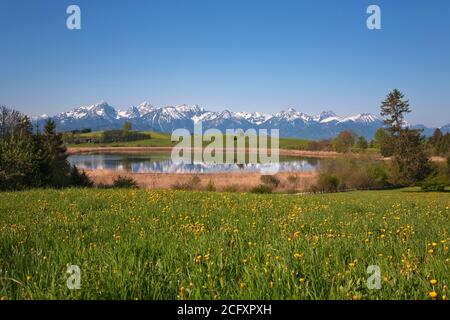 Geografia / viaggio, Germania, Baviera, colline alpine, Svevia, Allgaeu, East Allgaeu, Koenigswinkel, , Additional-Rights-Clearance-Info-Not-Available Foto Stock