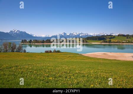 Geografia / viaggio, Germania, Baviera, colline alpine, Svevia, Allgaeu, East Allgaeu, Koenigswinkel, , Additional-Rights-Clearance-Info-Not-Available Foto Stock