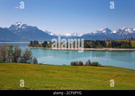 Geografia / viaggio, Germania, Baviera, colline alpine, Svevia, Allgaeu, East Allgaeu, Koenigswinkel, , Additional-Rights-Clearance-Info-Not-Available Foto Stock