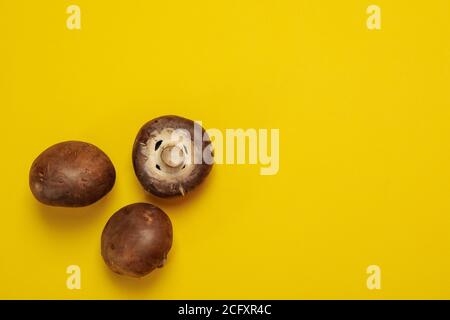 Funghi Champignon su sfondo giallo, spazio per il testo Foto Stock