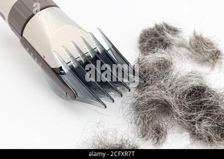 Primo piano del regolacapelli e taglio dei capelli isolati su sfondo bianco. Strumento per tagliare i capelli Foto Stock