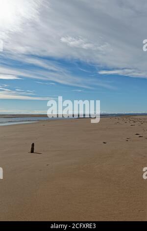 L'ampia e liscia spiaggia di sabbia a Tentsmuir Point sull'estuario del Tay, con un piccolo marcatore di legno intemperie in piedi in posizione verticale nella sabbia. Foto Stock