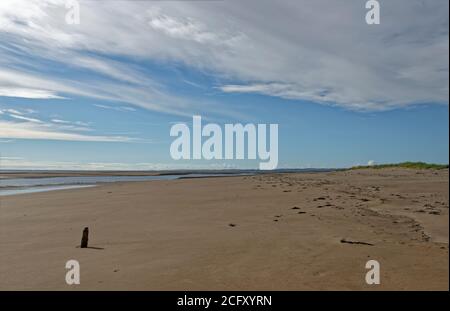 Tentsmuir Point a bassa marea con un piccolo marcatore in legno intemperie sul litorale dell'ampia spiaggia sabbiosa, con grandi piscine maree sullo sfondo. Foto Stock