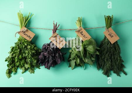Spago con erbe diverse su sfondo di menta Foto Stock
