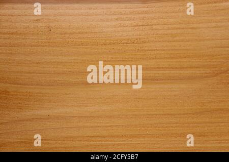 struttura orizzontale in legno di una tavola di quercia Foto Stock