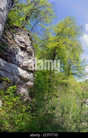 Europa, Lussemburgo, Grevenmacher, Mullerthal, formazioni rocciose a forma di volto umano dal sentiero Mullerthal vicino alla cascata di Schiessentumpel Foto Stock