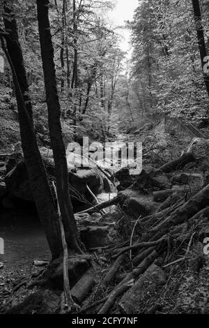 Europa, Lussemburgo, Grevenmacher, Mullerthal, fiume Ernz vicino alla cascata di Schiessentumpel Foto Stock