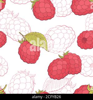 Raspberry grafico colore rosso motivo senza giunture disegno vettore di schizzo Illustrazione Vettoriale