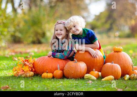 Un gruppo di bambini piccoli godendo di harvest festival celebrazione a pumpkin patch. I ragazzi di picking e di intagliare zucche di country farm nelle calde giornate d'autunno. Foto Stock