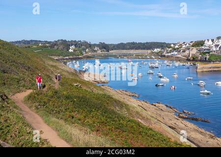 Francia, Finistere, Iroise See, Parco Naturale Regionale Armorique, le Conquet, penisola Kermorvan, passeggiata sulla GR 34 Foto Stock